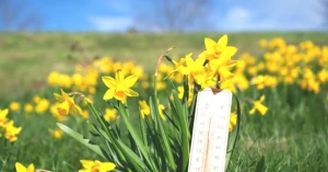 “2026 Üçüncü Cemre Düşüş Tarihi Açıklandı! Nereye Düşecek?”